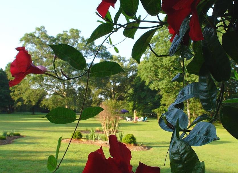 Outdoors view Photo