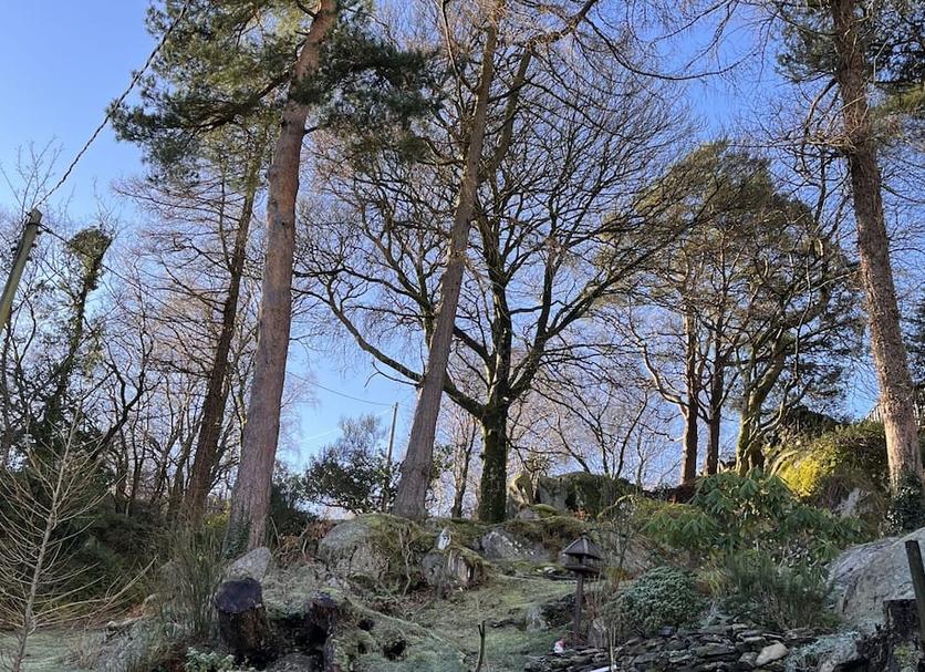 Outdoors view Photo