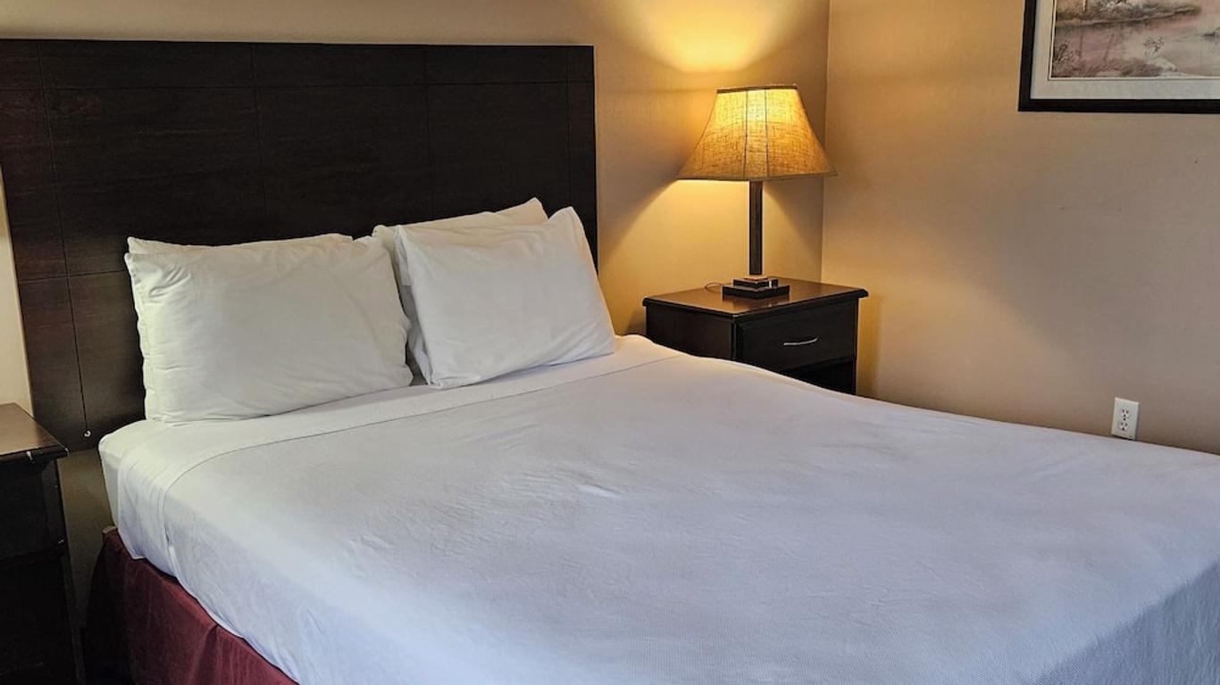 Bellis Inn