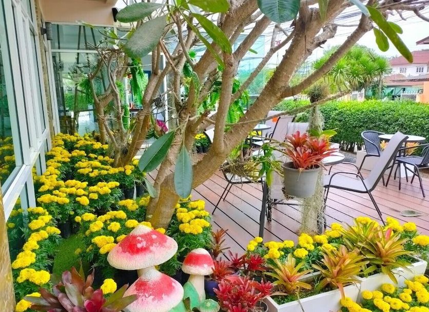 Patio Photo