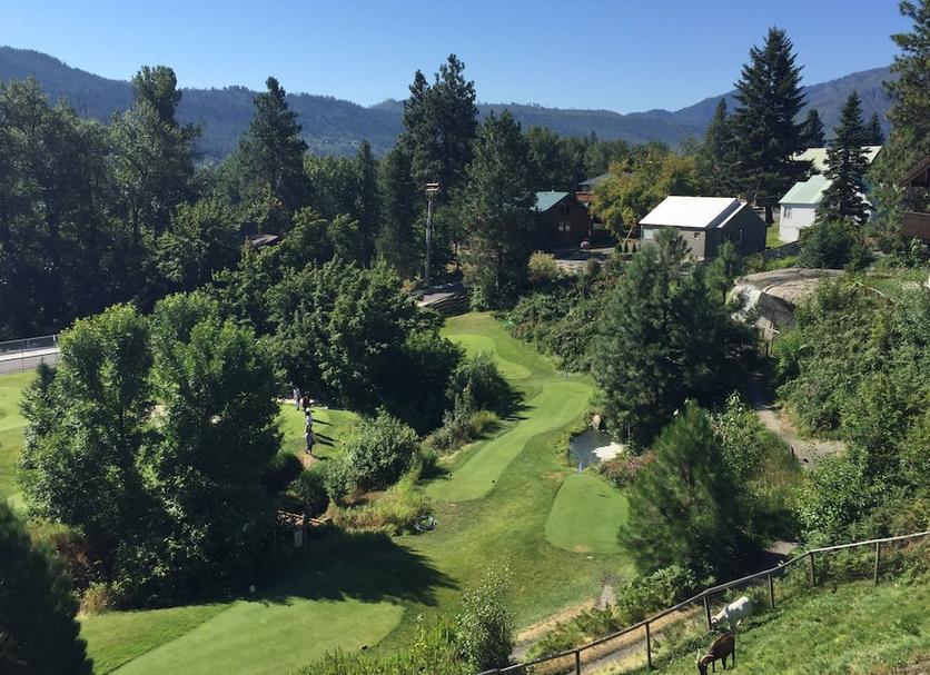 Outdoors view Photo