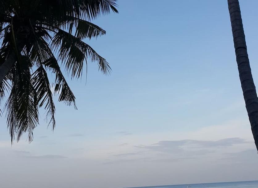 Outdoors view Photo