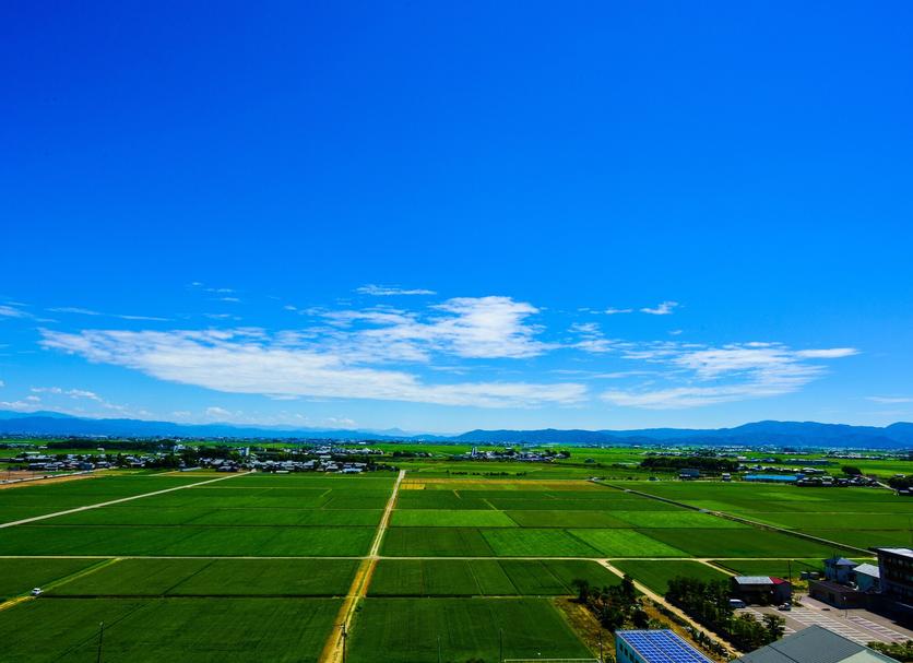 Outdoors view Photo