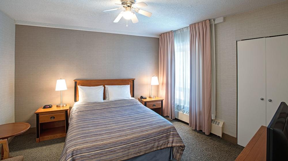 L&#39;Appartement DEUXIEME CLASSE - 21ss 今季 L&#39;Appartement Compact T-sh expediav2-8226-05640c-807262.