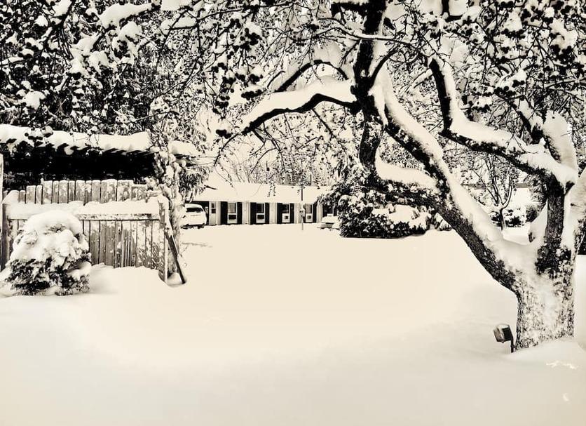 Outdoors view Photo
