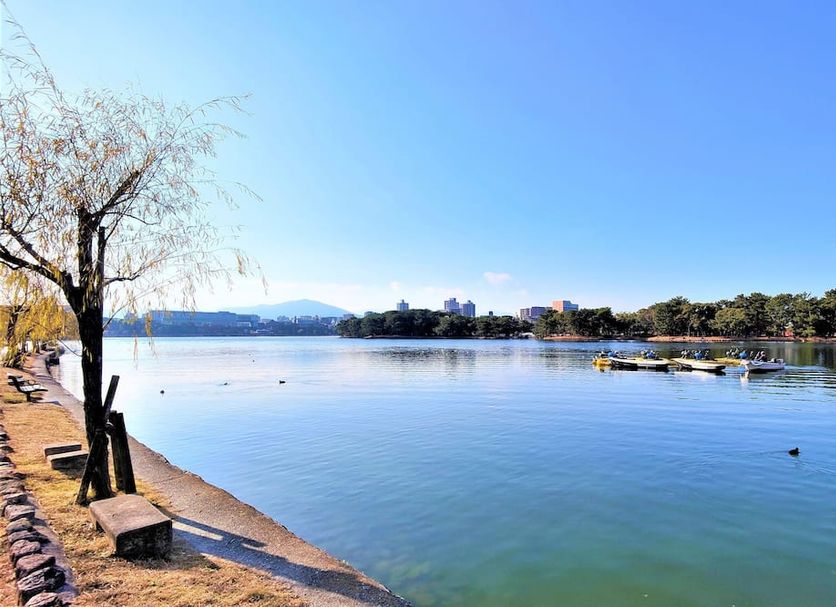 Outdoors view Photo