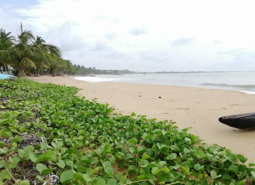 Beach Photo