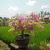 Outdoors view