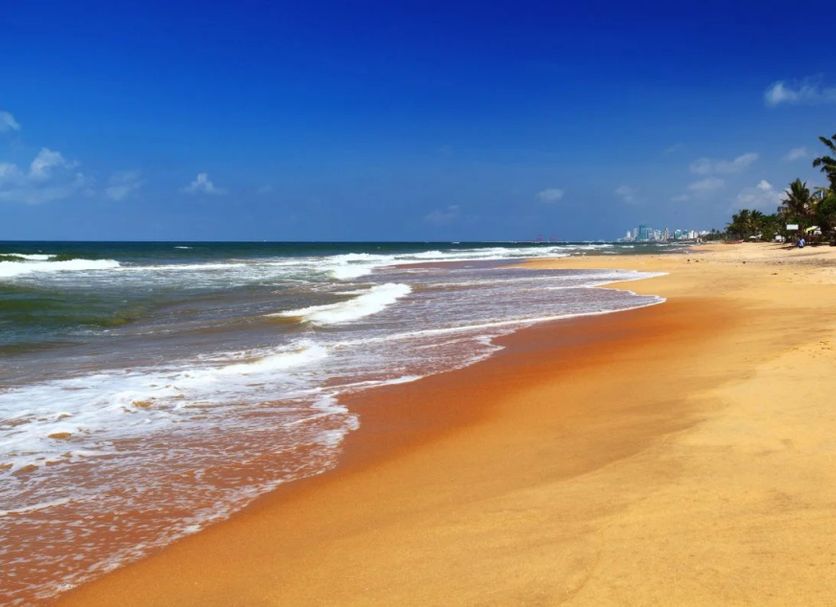 Beach Photo