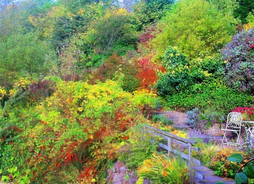 Outdoors view Photo