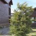 Outdoors view