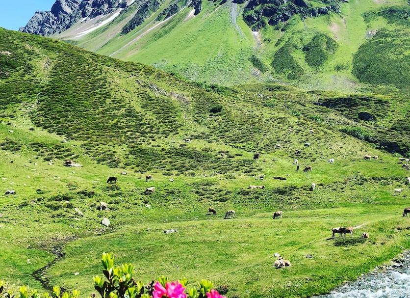 Outdoors view Photo