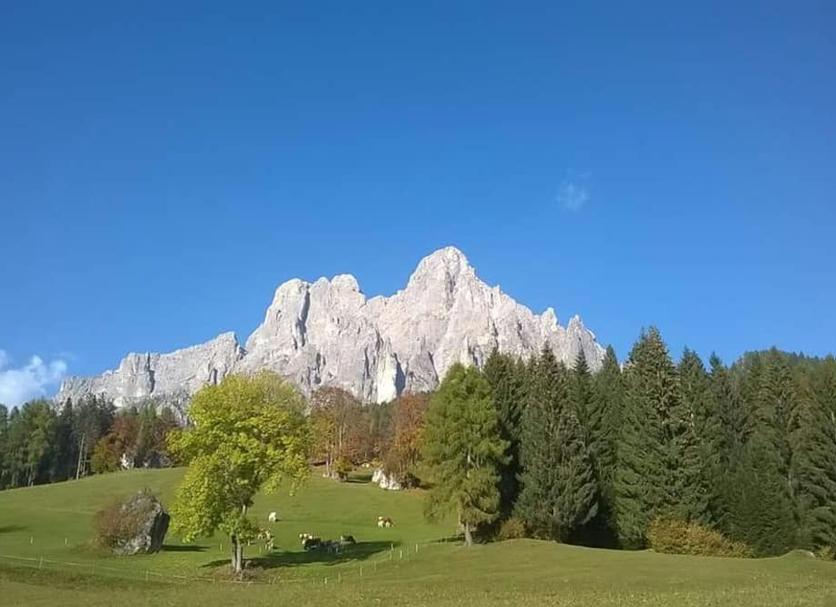 Outdoors view Photo