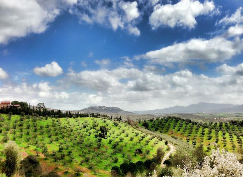 Outdoors view Photo