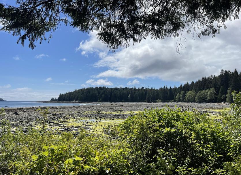 Outdoors view Photo