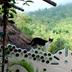 Outdoors view