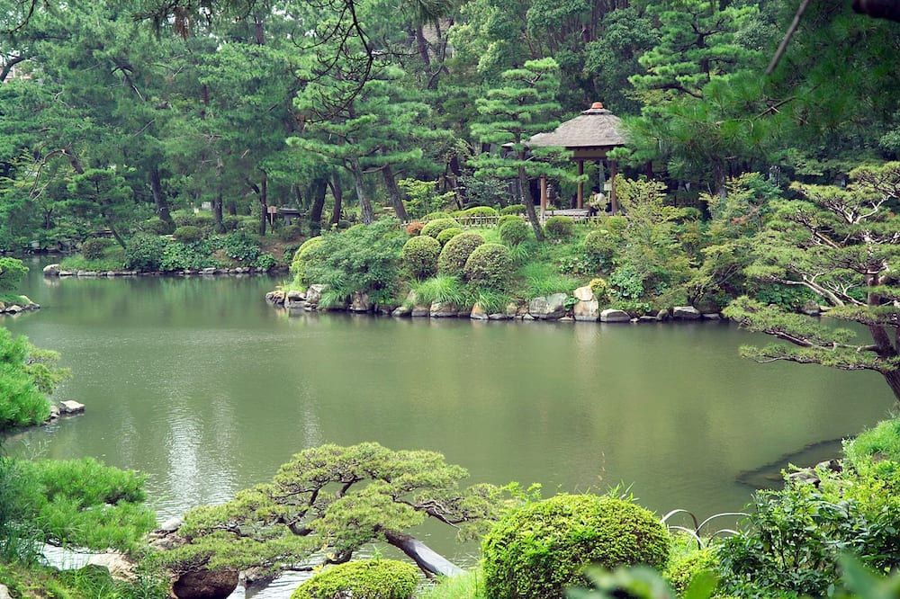 Outdoors view Photo