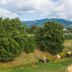 Outdoors view