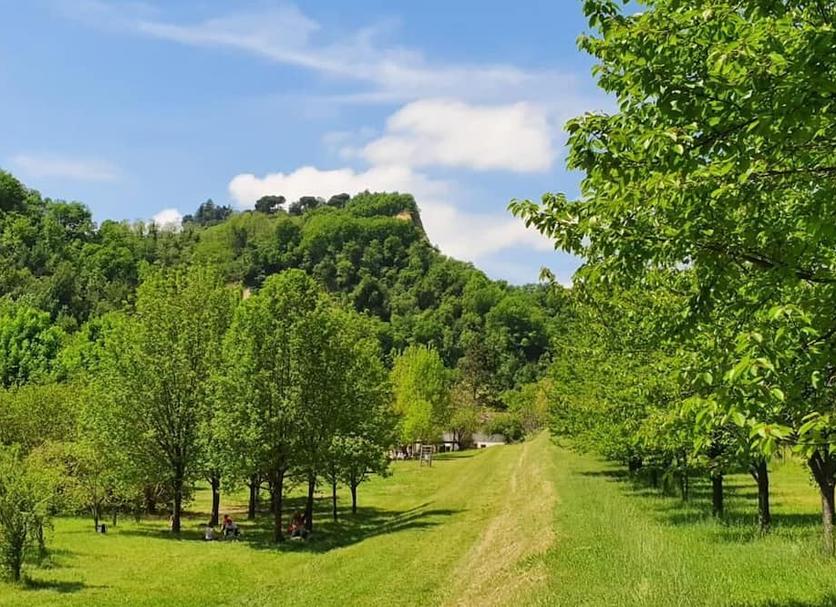 Outdoors view Photo