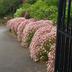Outdoors view