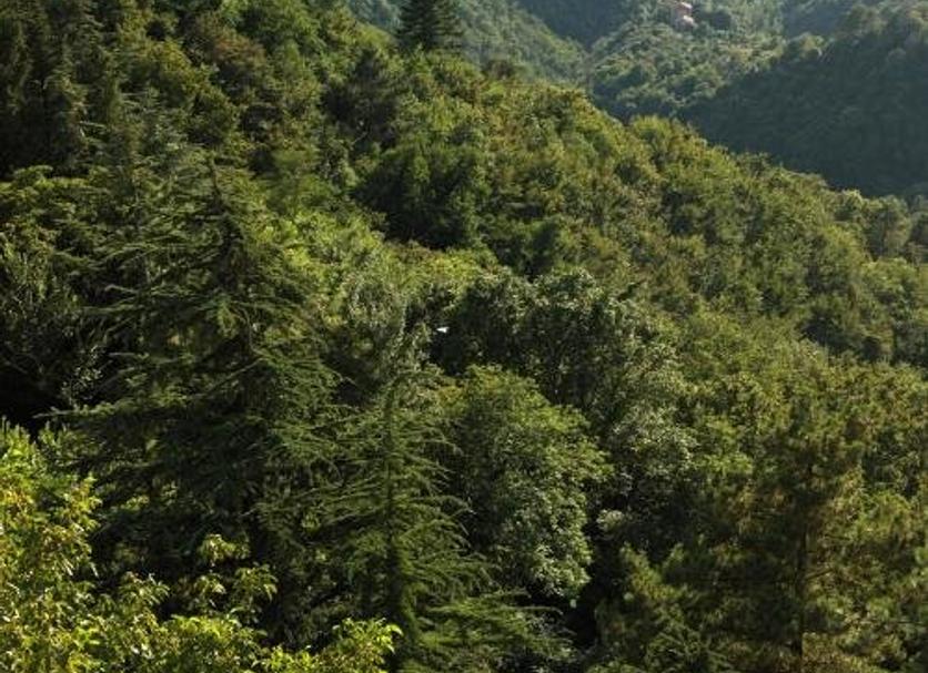 Outdoors view Photo