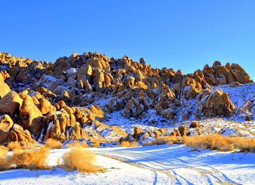 Other Photo
