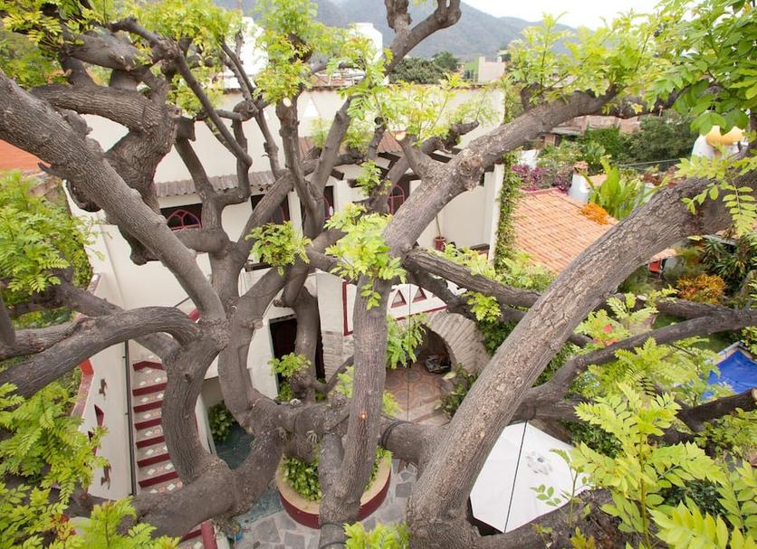 Outdoors view Photo