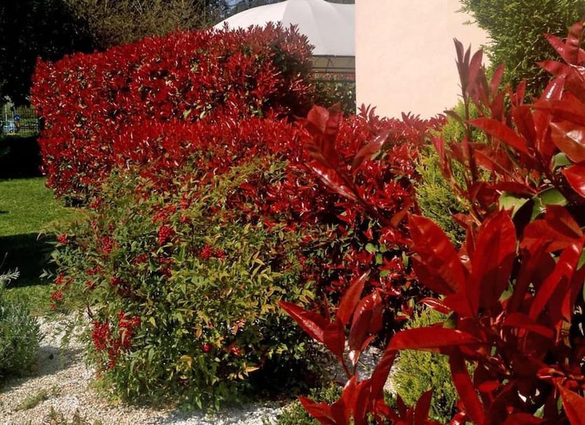 Outdoors view Photo