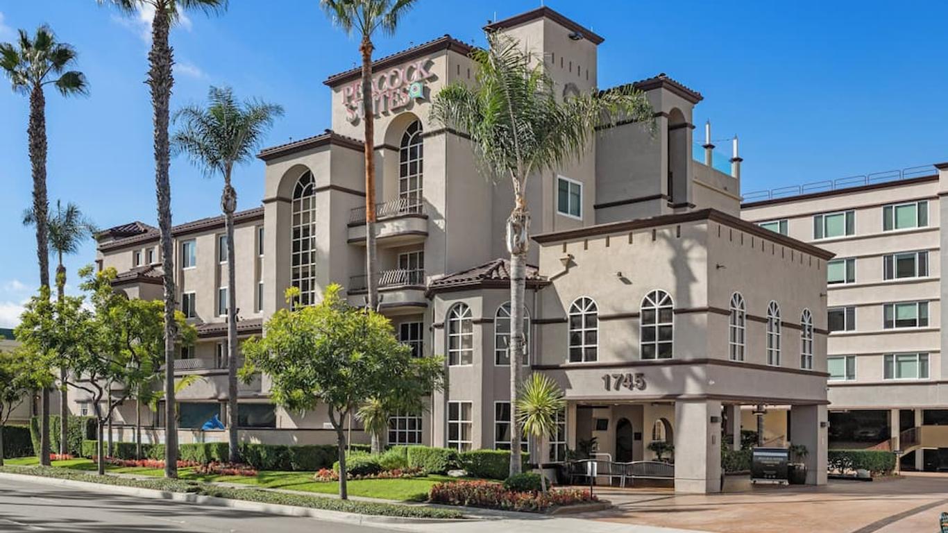 Peacock Suites