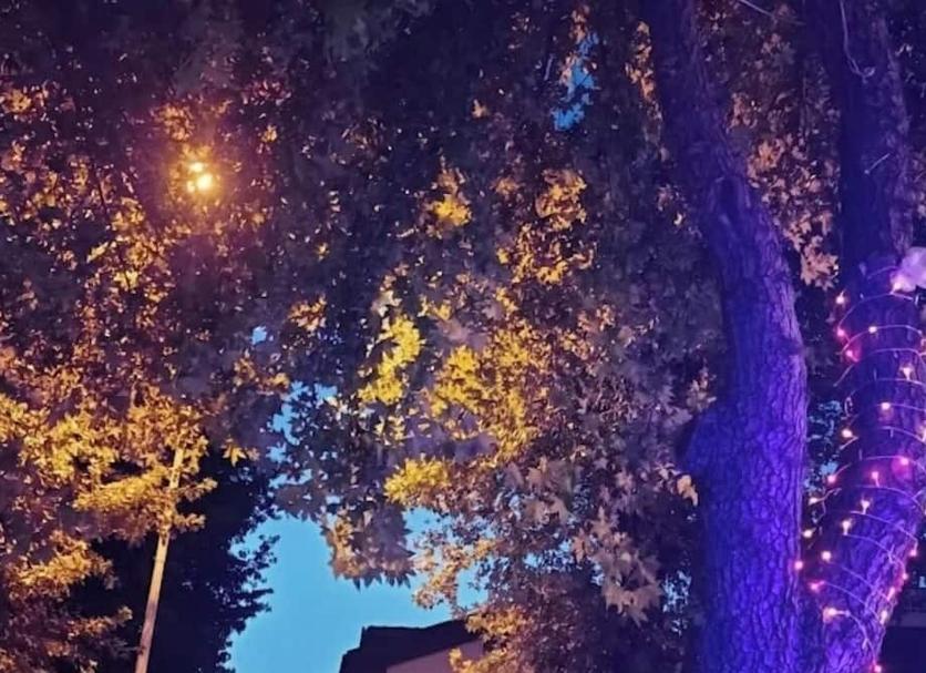 Outdoors view Photo