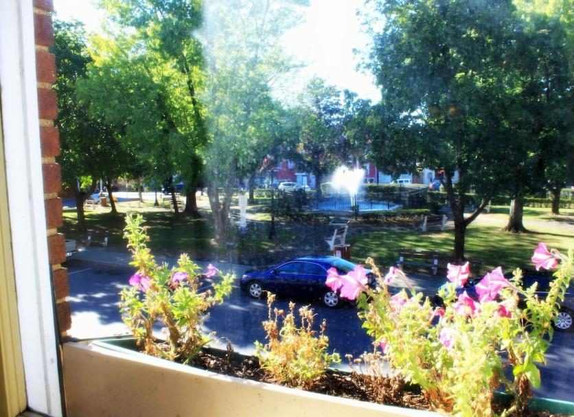 Outdoors view Photo