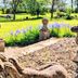 Outdoors view