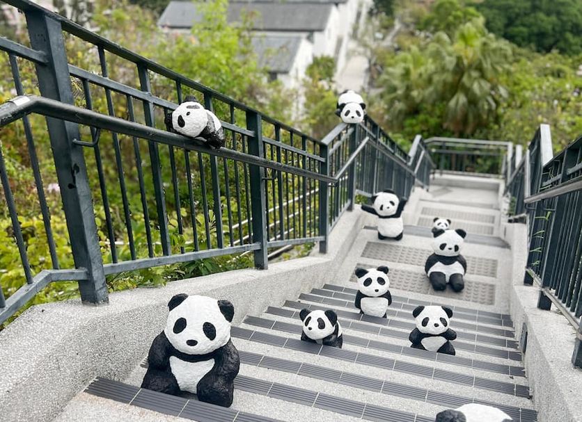 Stairs Photo
