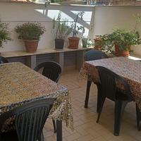 Mondo House