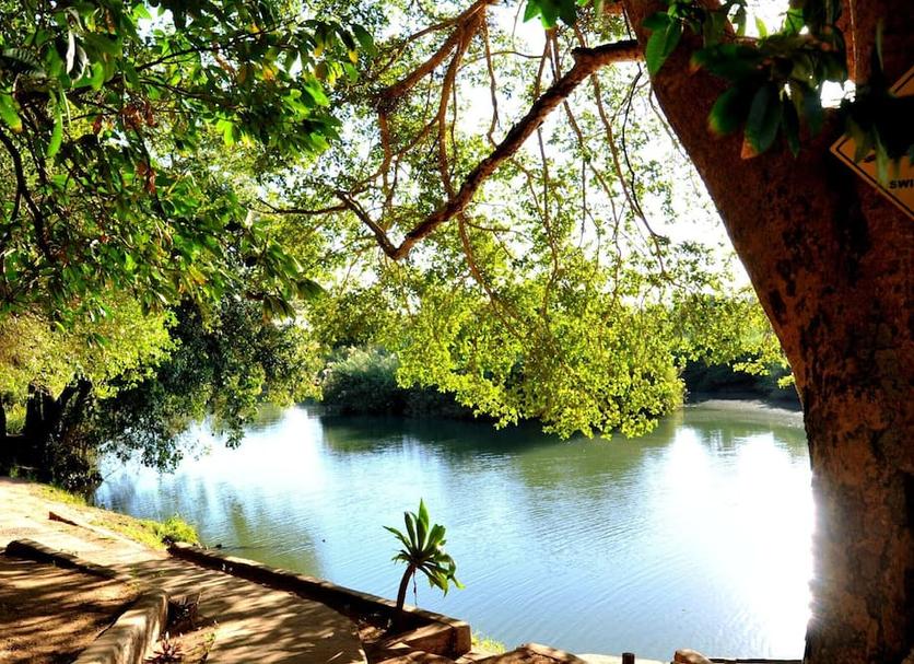 Outdoors view Photo