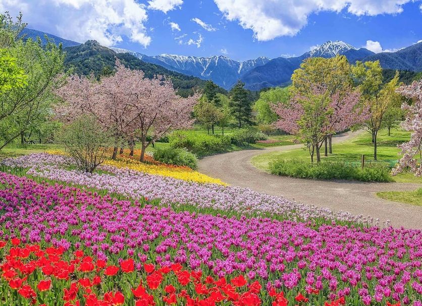 Outdoors view Photo
