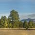 Outdoors view