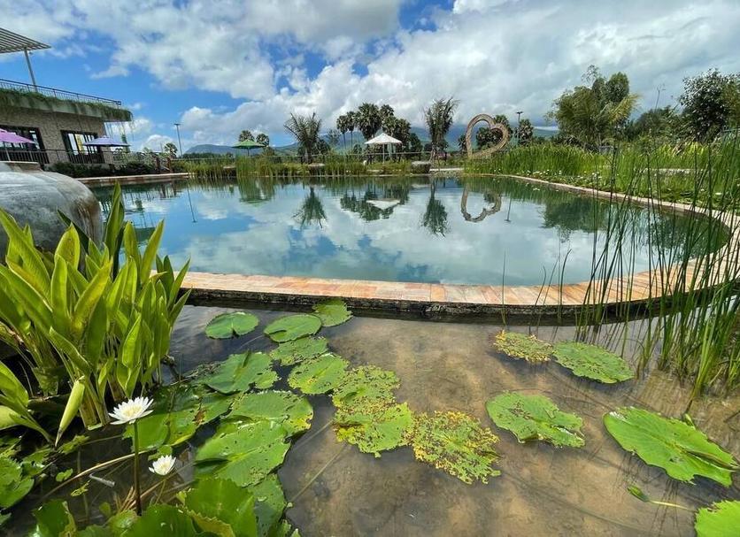 Outdoors view Photo