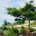 Outdoors view