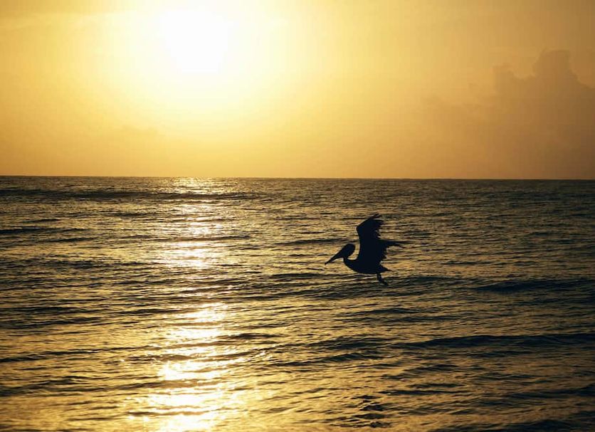Beach Photo