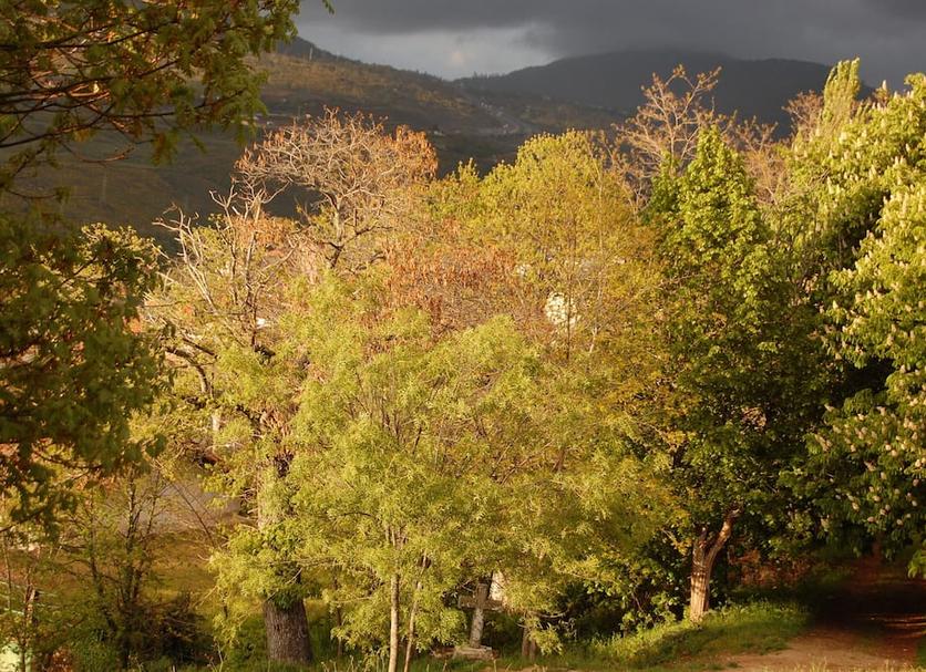 Outdoors view Photo