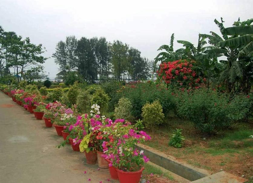 Outdoors view Photo