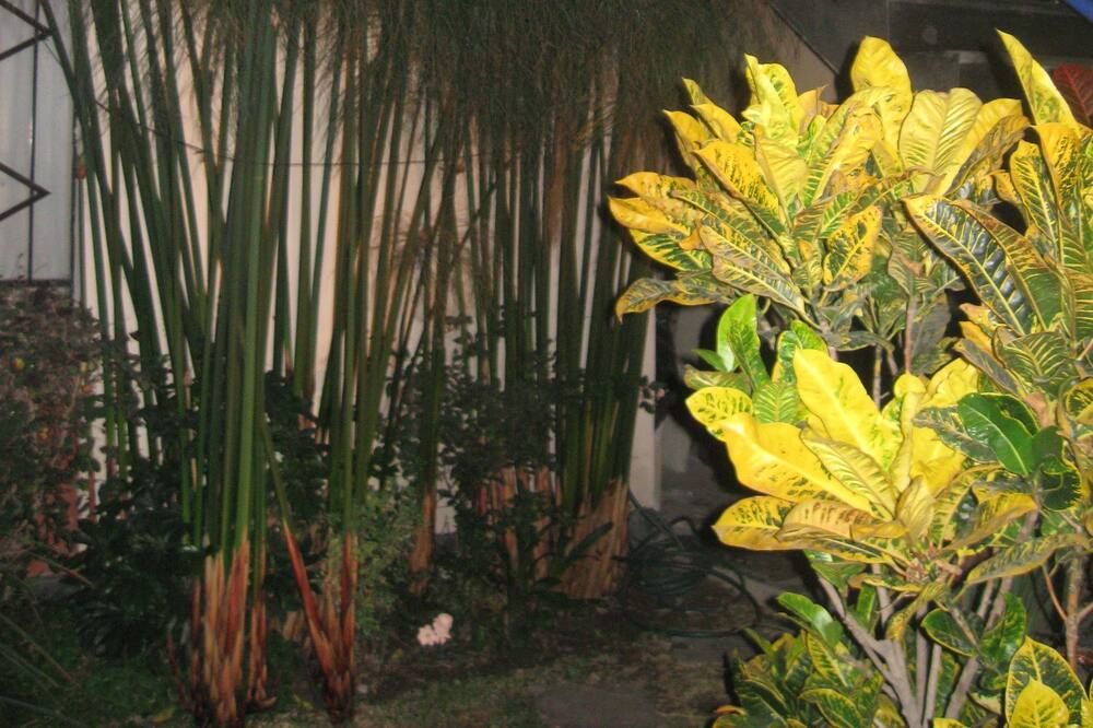 Outdoors view