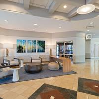 Embassy Suites Tampa - USF/Near Busch Gardens