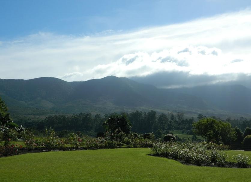 Outdoors view Photo