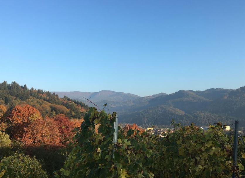 Outdoors view Photo