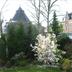 Outdoors view