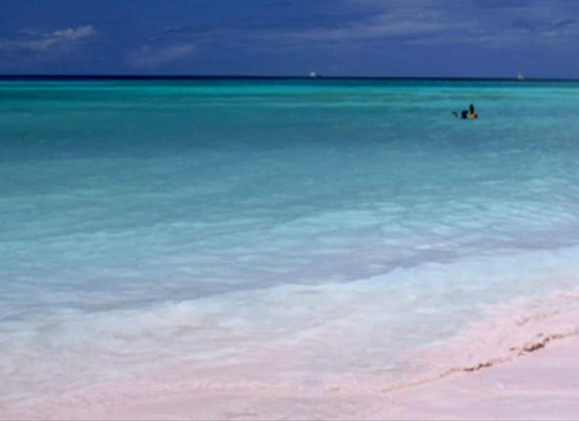 Beach Photo