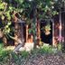 Outdoors view