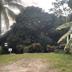 Outdoors view